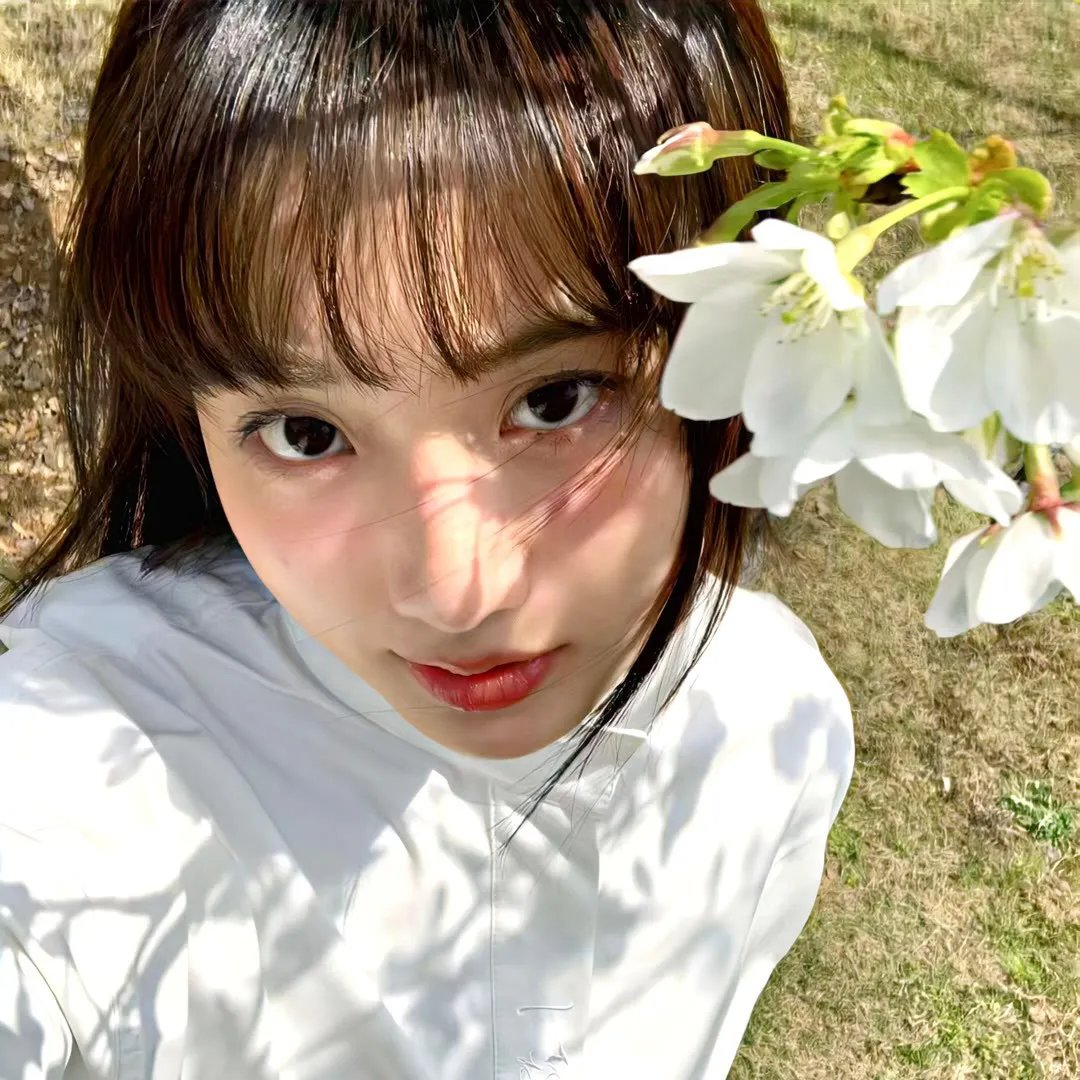 狐妖小红娘日语版